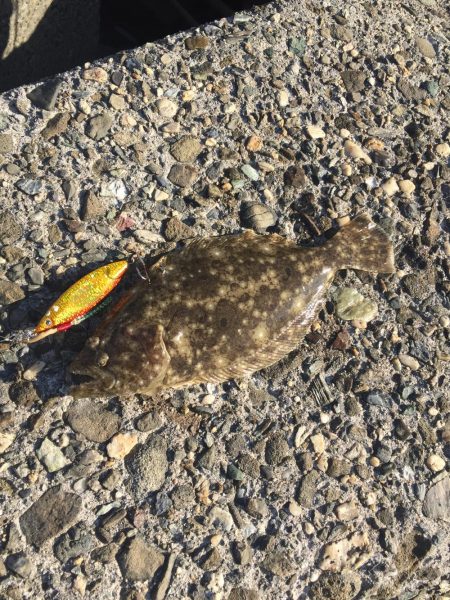 強風の中でジギング