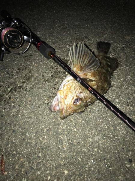 爆風ライトゲーム