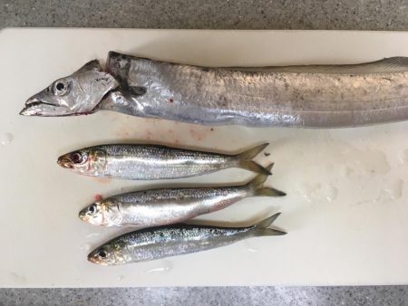 風が強いです。