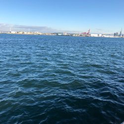 爆風までの釣行