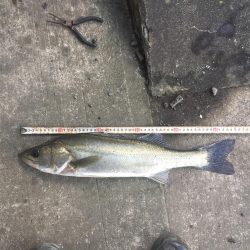 引き潮になって