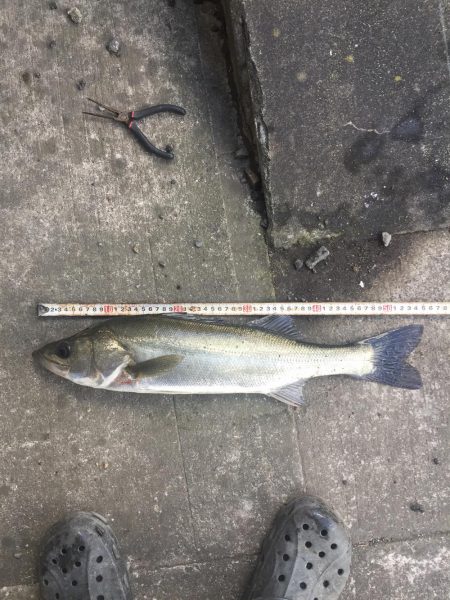 引き潮になって