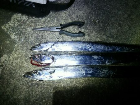 暴風の中、ジグでタチウオ