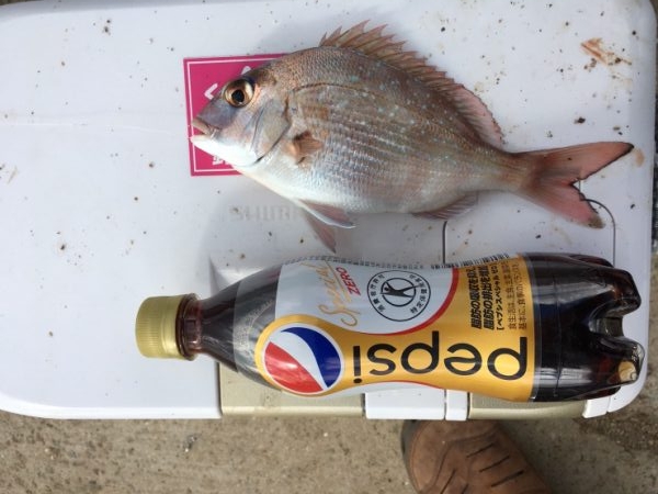 カレイ投げ釣り