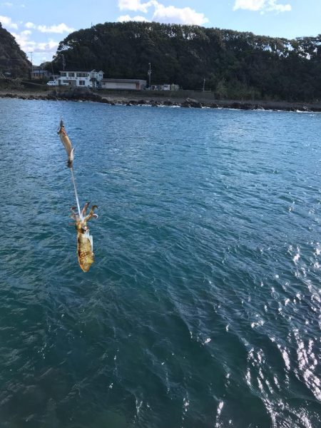 リリースサイズしか釣れません…