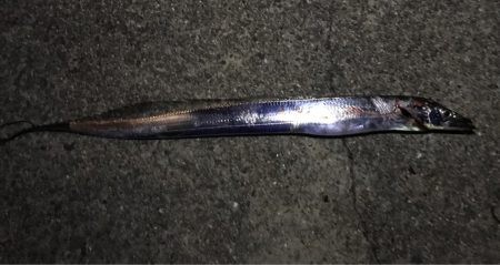 激流の中、やっとの１本です