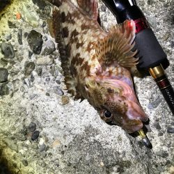 ガシラのマンション