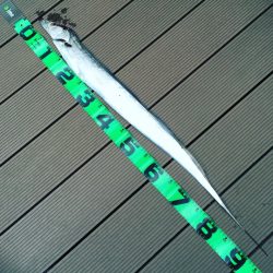 ドラゴンに1本及ばず！