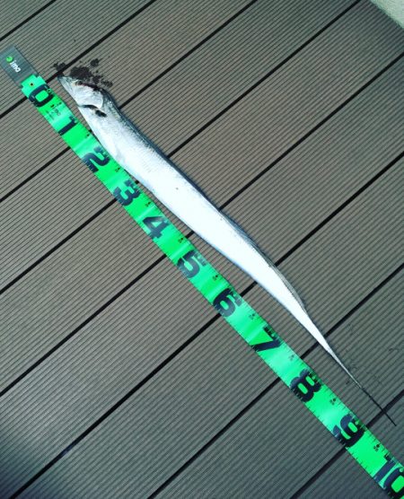 ドラゴンに1本及ばず！