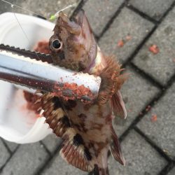 大阪奥湾ワインド シーサイドコスモ