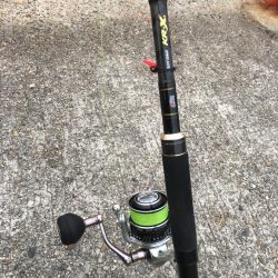 ハマチをショアジギングで釣りたくて