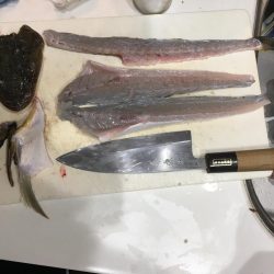 暇つぶしショアジギ