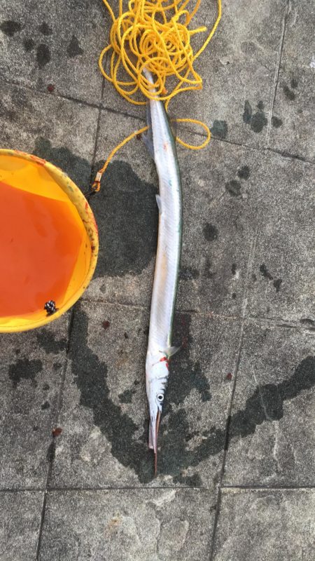 夕まずめ釣行in北公園