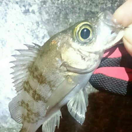 爆風ライトゲーム