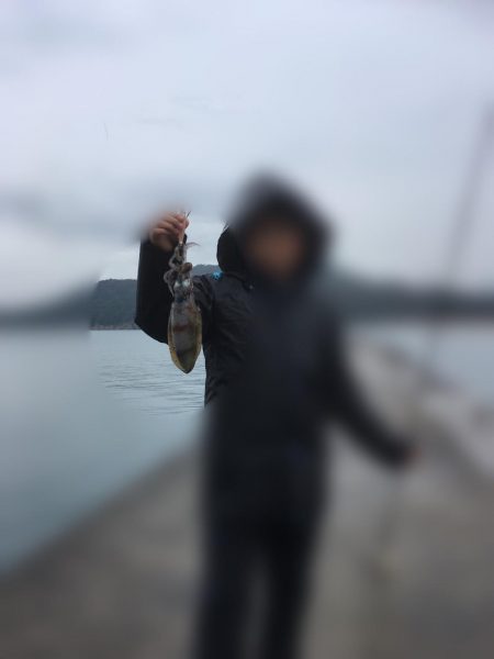 最後のイカ釣り旅行