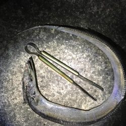 アタリが少ない