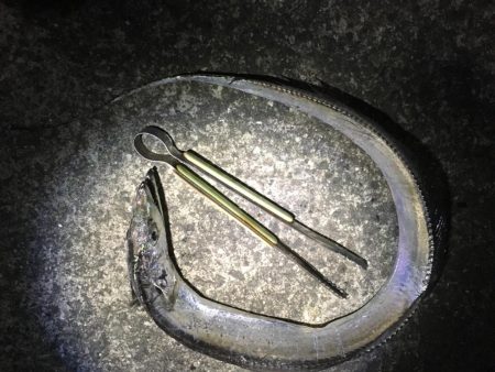 アタリが少ない