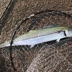 桃源郷は爆風の向こう側