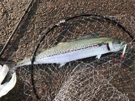 桃源郷は爆風の向こう側