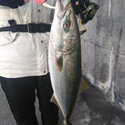 ジグパラスピンでツバス