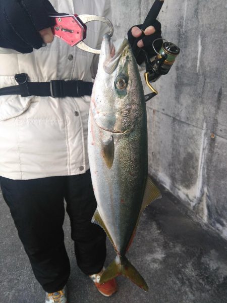 ジグパラスピンでツバス