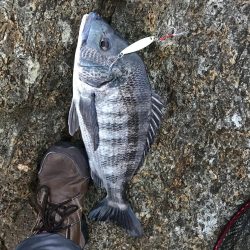 遅刻で釣り場変更