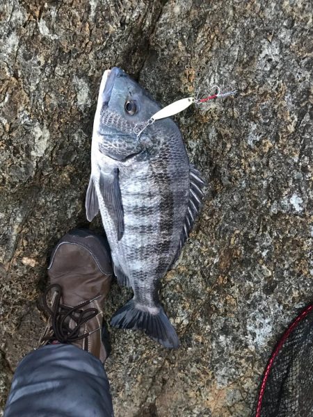 遅刻で釣り場変更