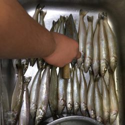 キス、キス、キス。