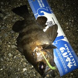 ンメェヴァルィング！