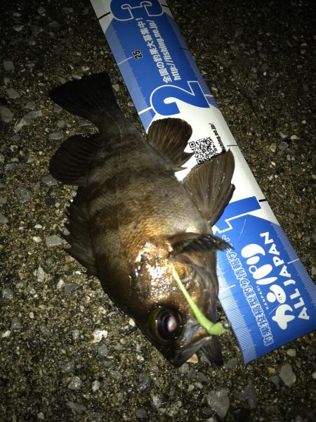 ンメェヴァルィング！