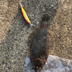 ソゲゲットです!!