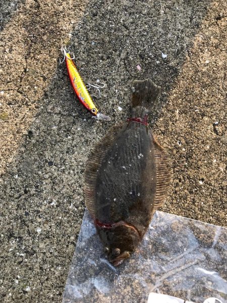 ソゲゲットです!!