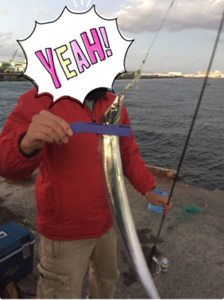 タチウオ＆アジ