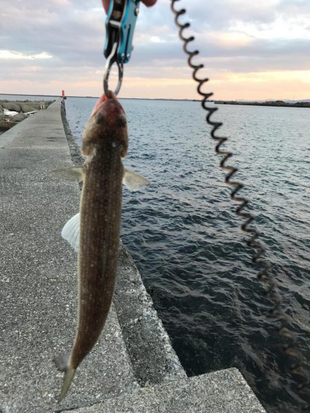 短時間ジギング