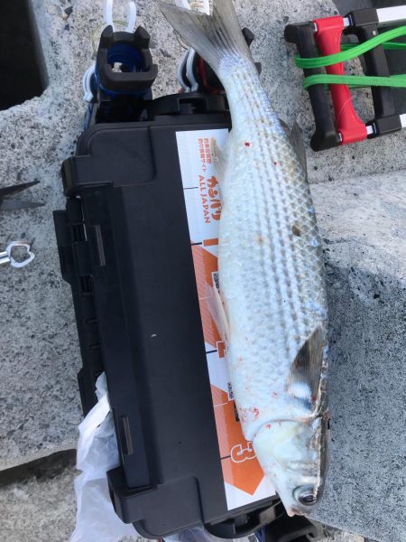 モニターレポートを書くために