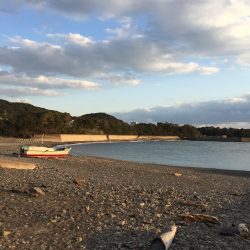 渋い…御坊エギング