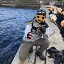 佐田岬遠征2日目