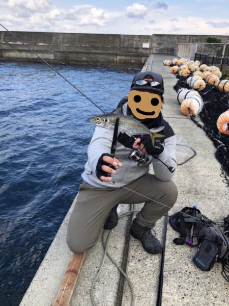 佐田岬遠征2日目