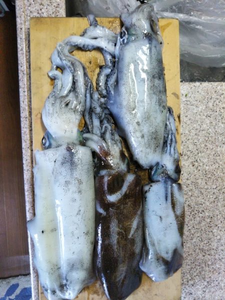 爆風ティップラン