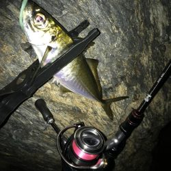 アジング！時々メバリング！