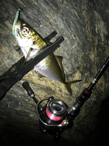 アジング！時々メバリング！