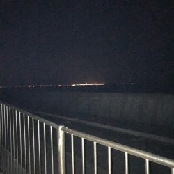 デカ鯵回遊中！