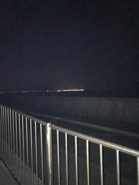 デカ鯵回遊中！