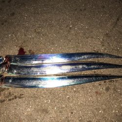 タッチーチャレンジ(^^)