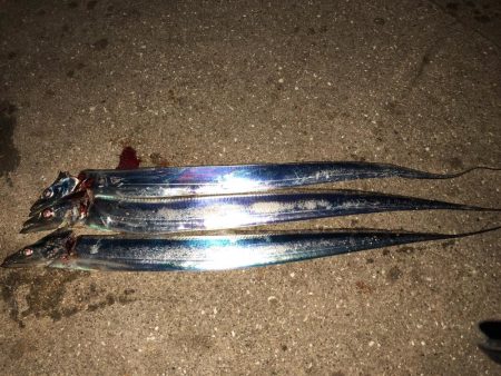 タッチーチャレンジ(^^)