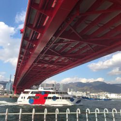 ハマチクランク?