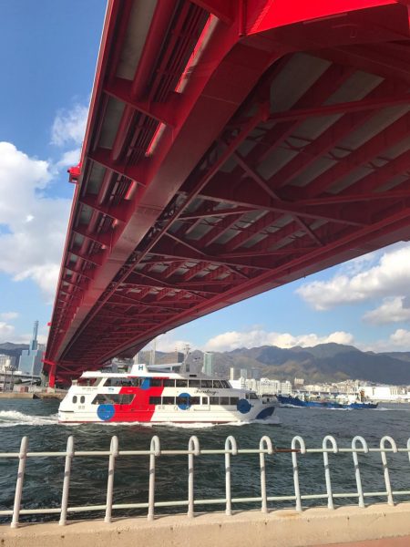 ハマチクランク?