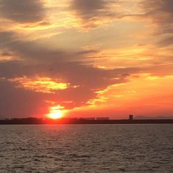 今シーズンラストタチウオ‼️