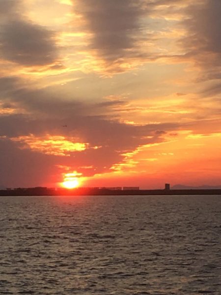 今シーズンラストタチウオ‼️