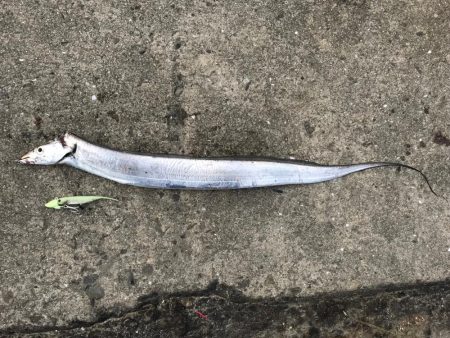 今日も超〜渋い！